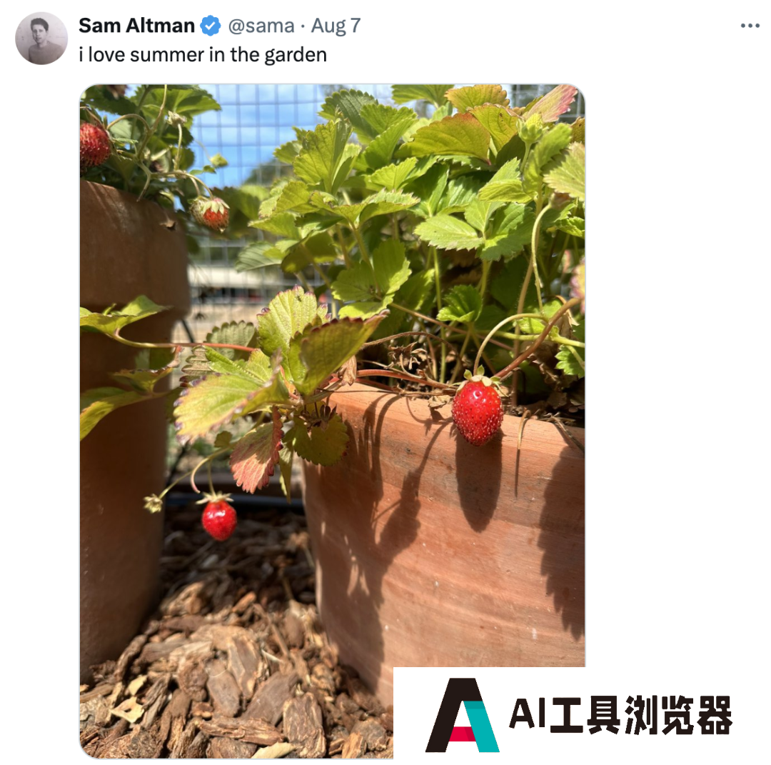 OpenAI草莓模型即将上线! OpenAI草莓模型即将上线!