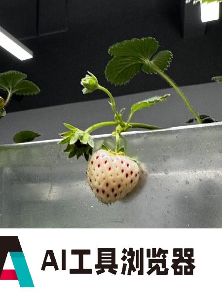 这群年轻人用“AI”种菜