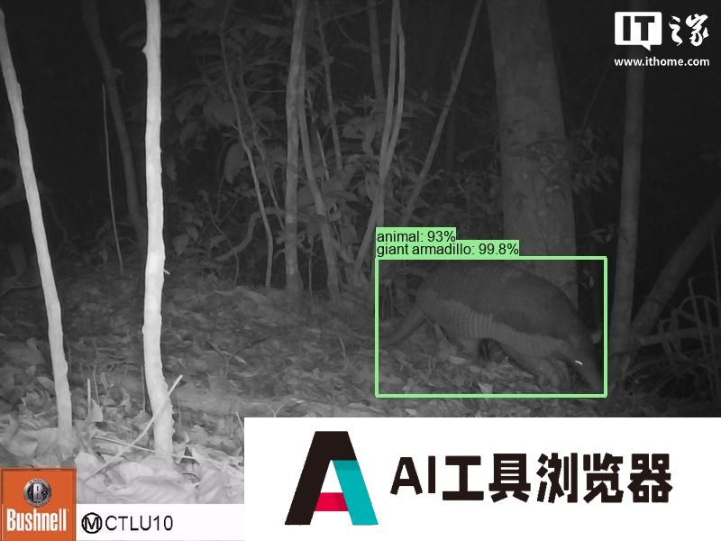 谷歌开源物种识别 AI 模型 SpeciesNet，助力野生动物研究